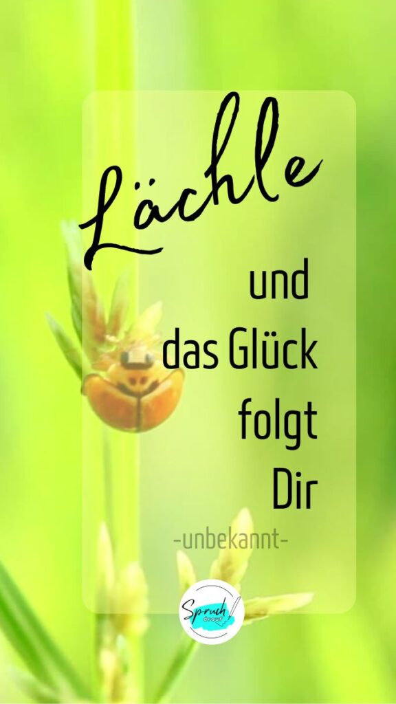 Bild mit kurzem Spruch über Glück: Lächle und das Glück folgt dir.