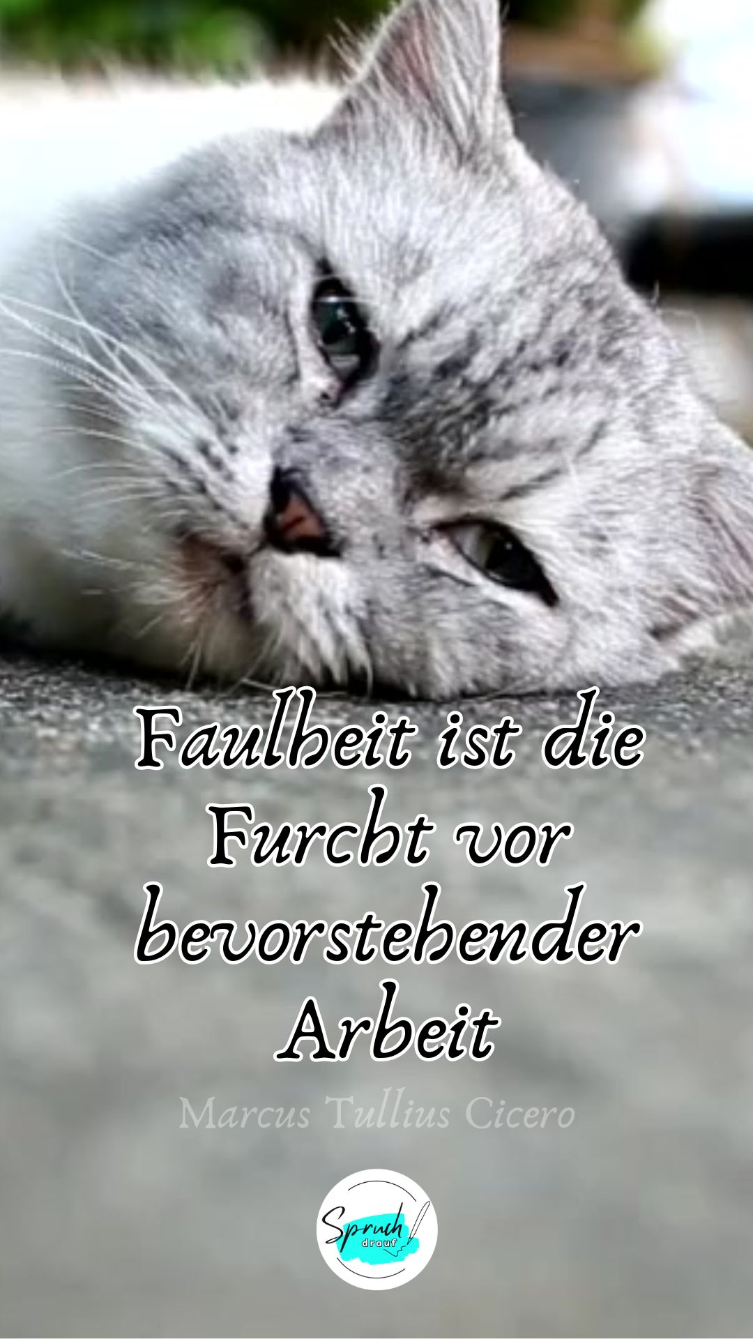Hintergrundbild mit Katze und Zitat über Arbeit: "Faulheit ist die Furcht vor bevorstehender Arbeit."