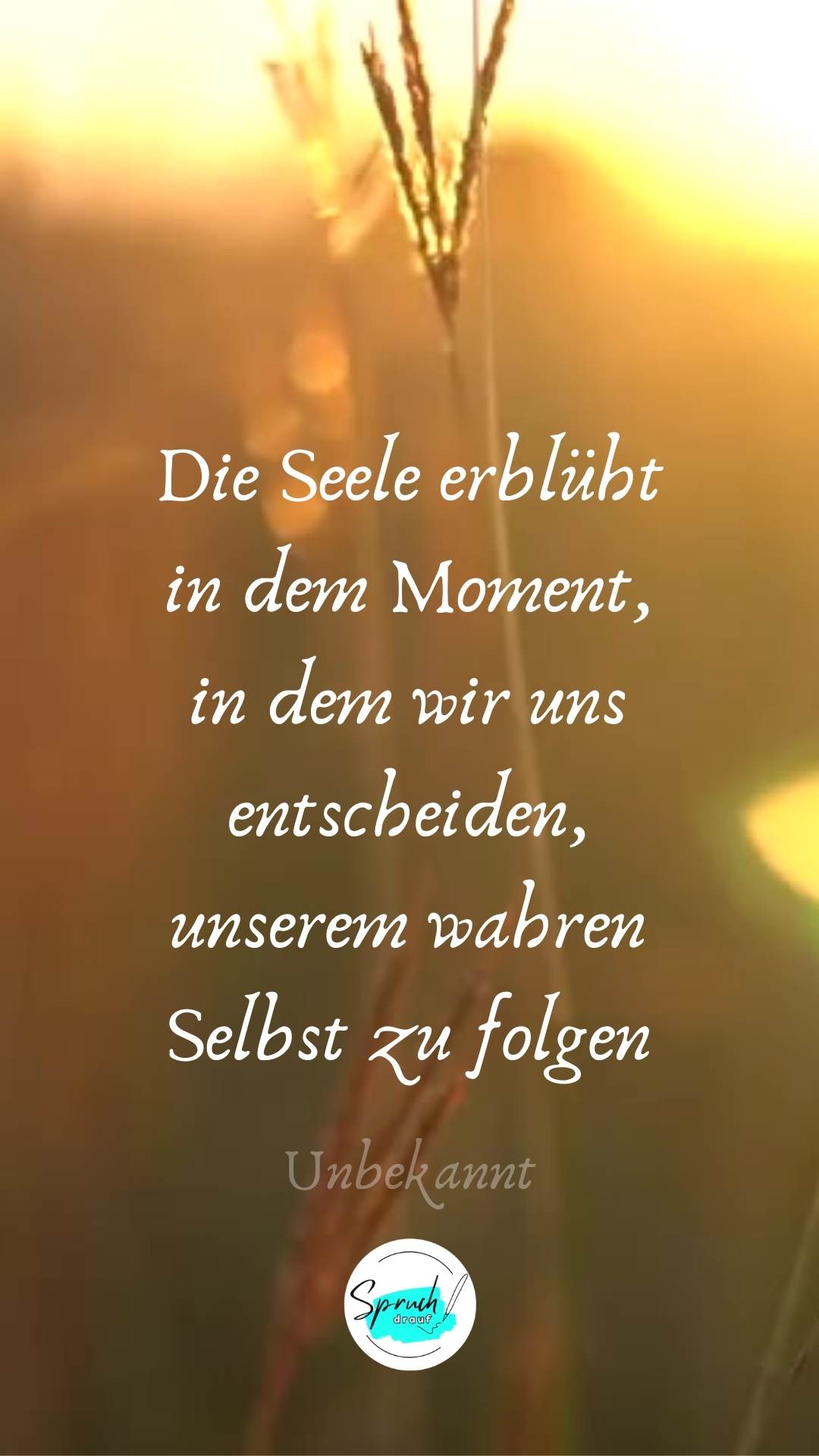 Hintergrundbild mit Spruch über die Seele: "Die Seele erblüht in dem Moment, in dem wir uns entscheiden, unserem wahren selbst zu folgen.