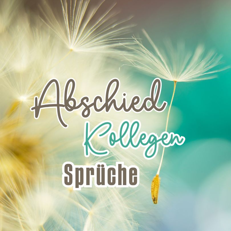 Beitragsbild für die Seite "Abschied von Kollegen"