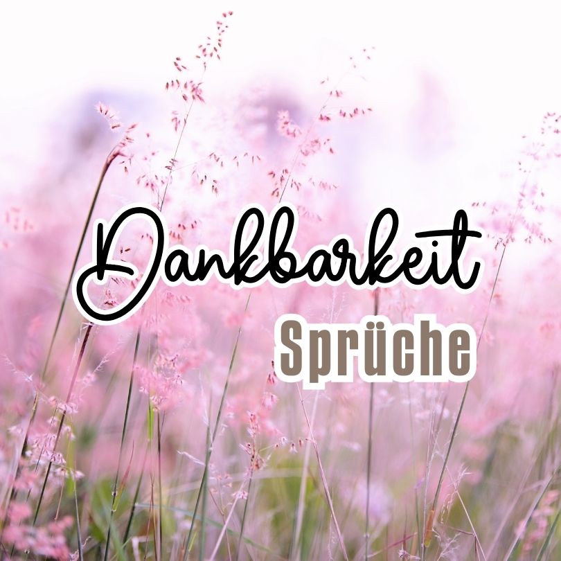 Bild mit Aufschrift "Dankbarkeit Sprüche" - führt zu einer Seite mit Sprüchen mit Sprüchen über Dankbarkeit.