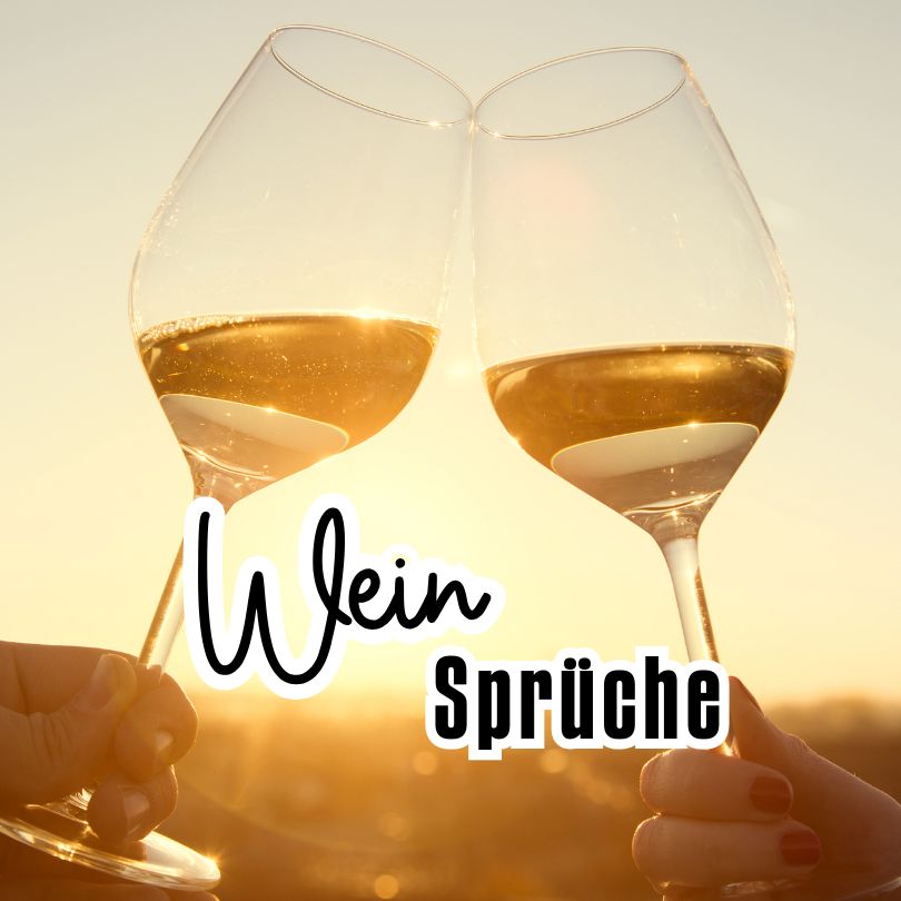 Beitragsbild für die Seite "Sprüche über Wein"