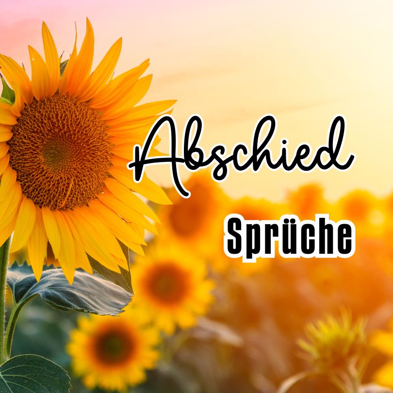 Beitragsbild für die Seite "Sprüche zum Abschied"