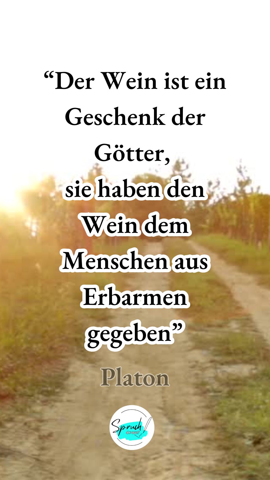 Hintergrundbild mit Zitat über Wein: "Der Wein ist ein Geschenk der Götter, sie haben dem Wein dem Menschen aus Erbarmen gegeben."