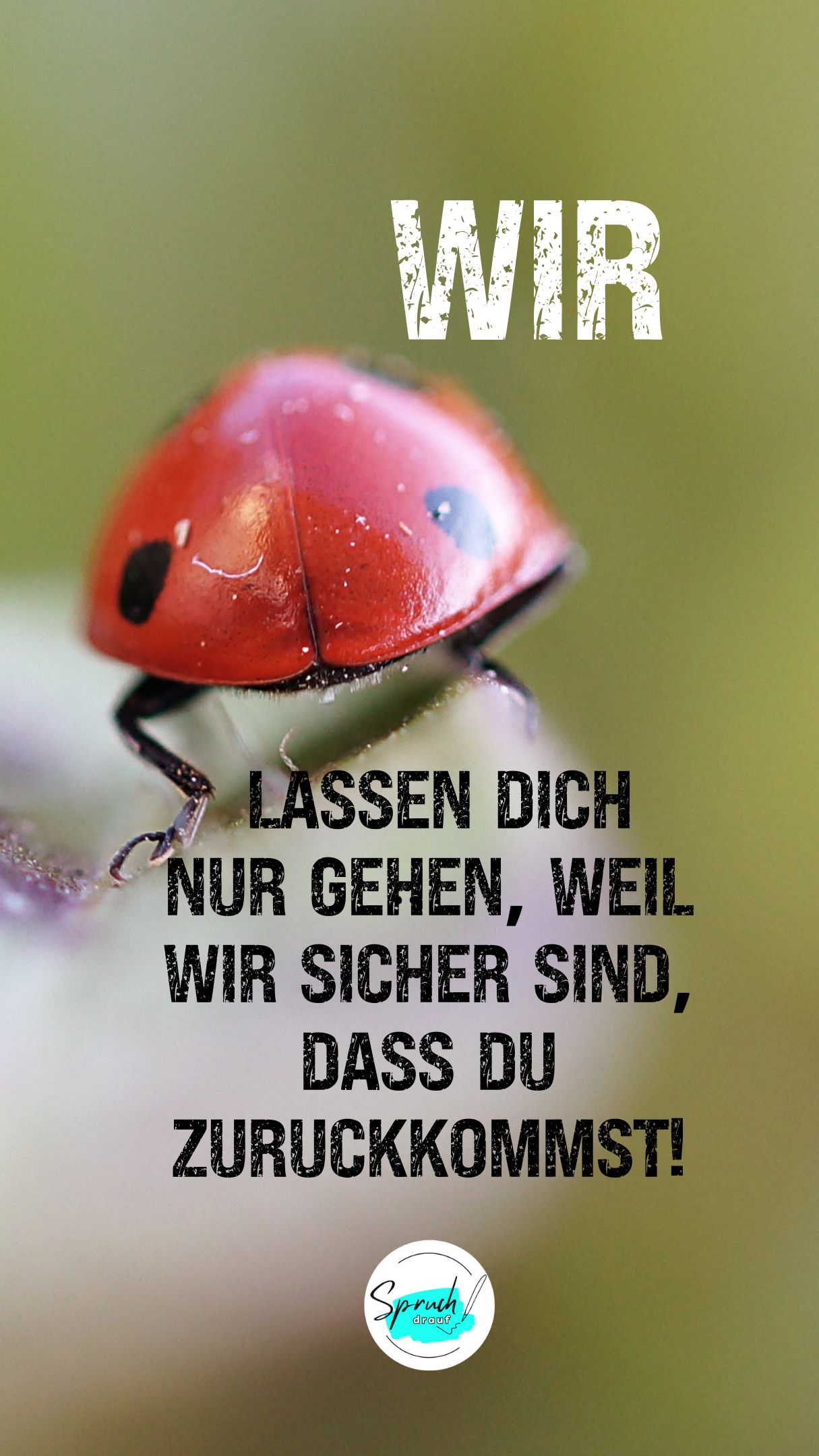 Bild mit lustigem Abschiedsspruch für Kollegen.