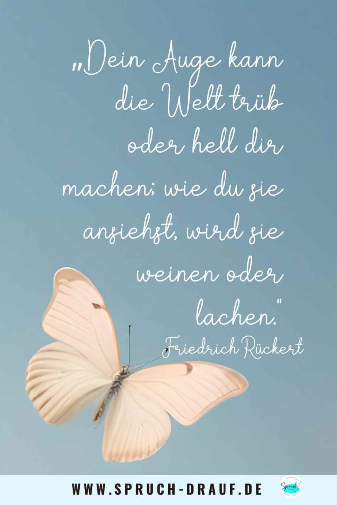 Weißer Schmetterling mit Zitat von Friedrich Rückert – Perspektive & Achtsamkeit
